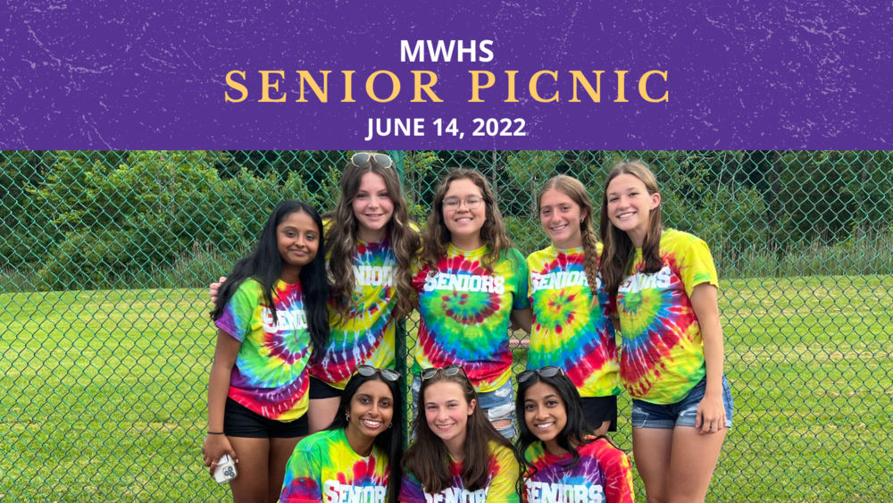 Senior picnic