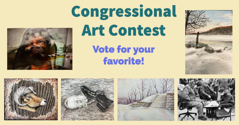 congressional art contest entries