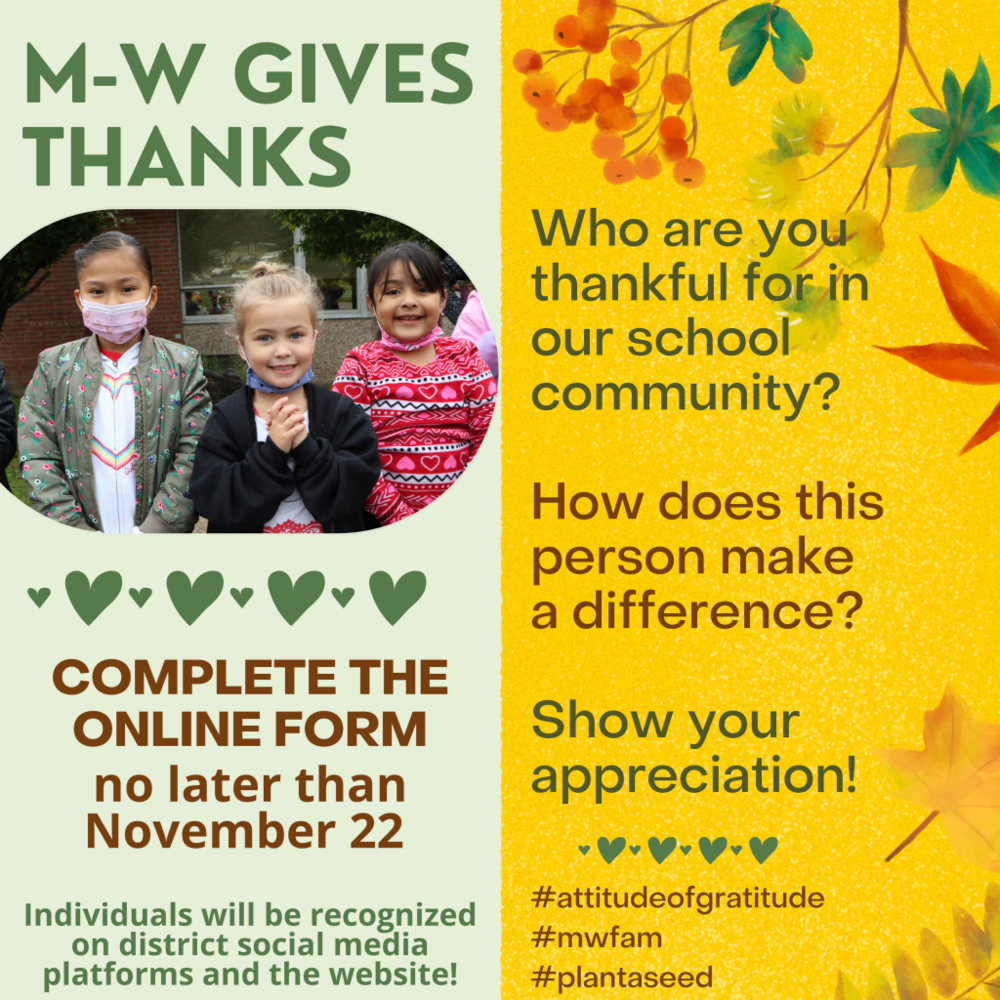 graphic for the attitude of gratitude campaign